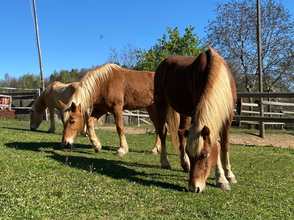 Ranch Enbruca Boves Exterior foto