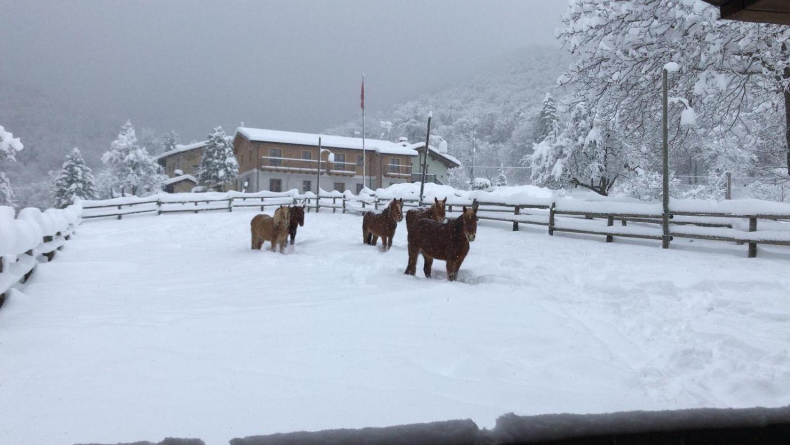 Ranch Enbruca Boves Exterior foto